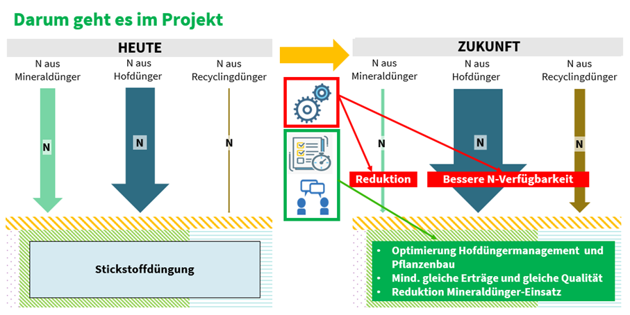 Projektskizze (zVg).