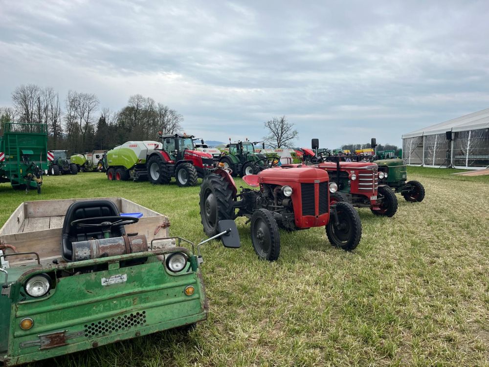 Die Oldtimer-Traktoren standen in Reih und Glied – ein Highlight für Liebhaber. Bild: kim