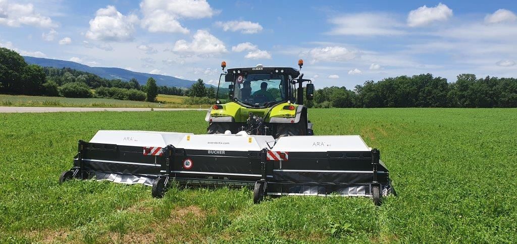 Blacken und weitere Problempflanzen könnten künftig auch auf Biodiversitätsförderflächen detektionsbasiert bekämpft werden. Bild: agroline