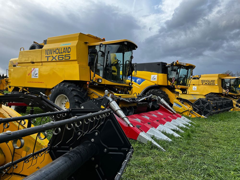 Mähdrescher: New Holland TX 65