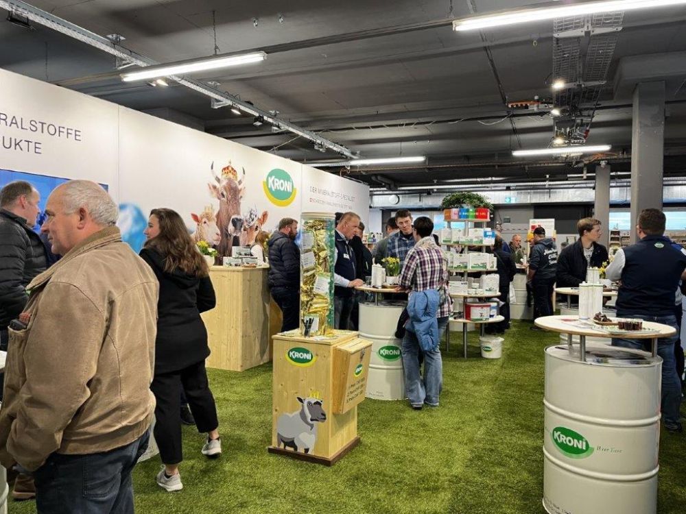 Bei Kroni ist immer was los.