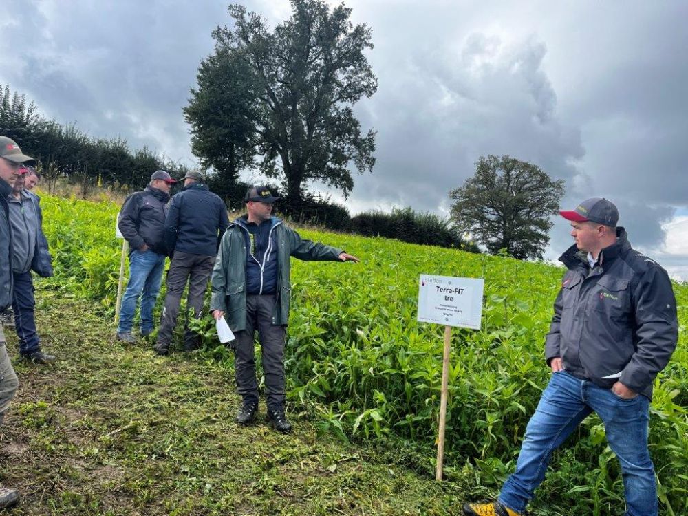 Lukas Knörr (r.), Verkaufsberater von Samen Steffen, zeigt die Vorteile der Gründüngung Terra-Fit tre. Bild: kim