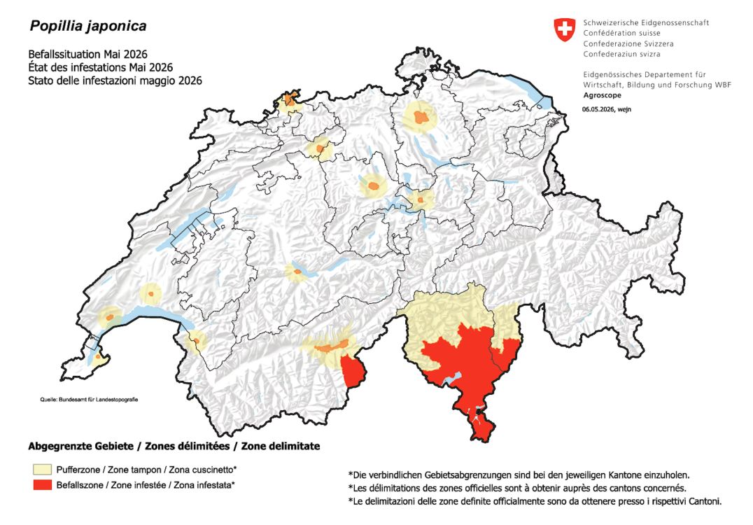 Die Befallssituation in der Schweiz per Mai 2026. In diesen Gebieten ist der Japankäfer etabliert und die Ausbreitung wird gebremst. (Bild: blw.admin)