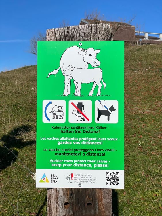 Die grüne Warntafel weist  Gäste auf das Vorhandensein einer Mutterkuhherde hin. Bei bestehenden  Warntafeln können die Piktogramme mittels Kleber nachgerüstet werden. (Bild: BUL)