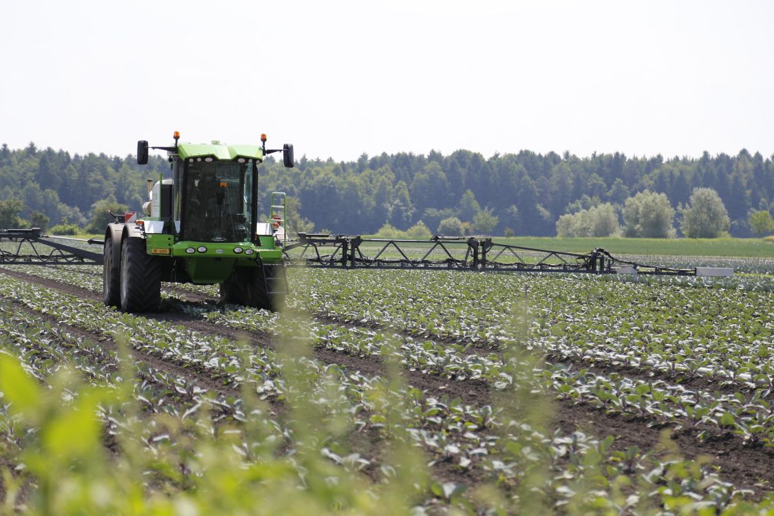 Neue Schadorganismen breiten sich aus, bewährte Wirkstoffe fallen weg, Alternativen sind nicht überall verfügbar. (Bild: lid, jin)