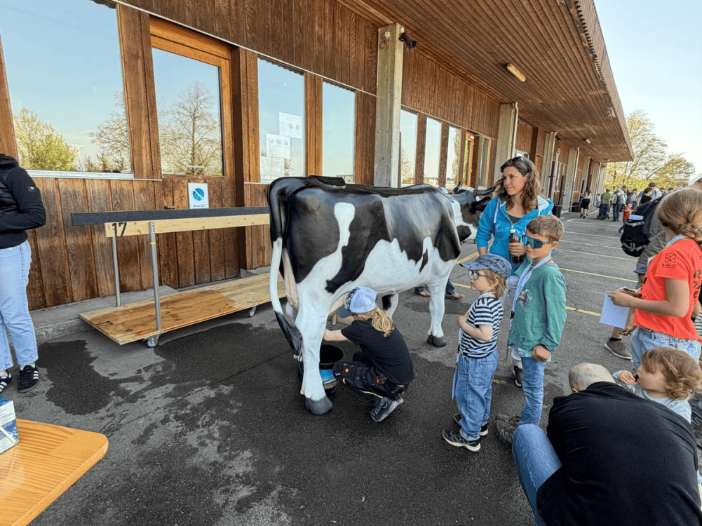 Selbstverständlich wurde auch gemolken. (Foto: kim)