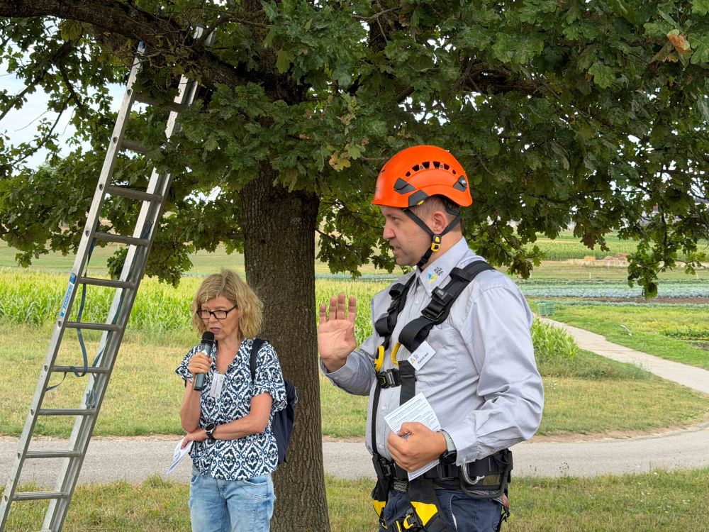 Patrick Jost erklärt Arbeitssicherheit am Baum