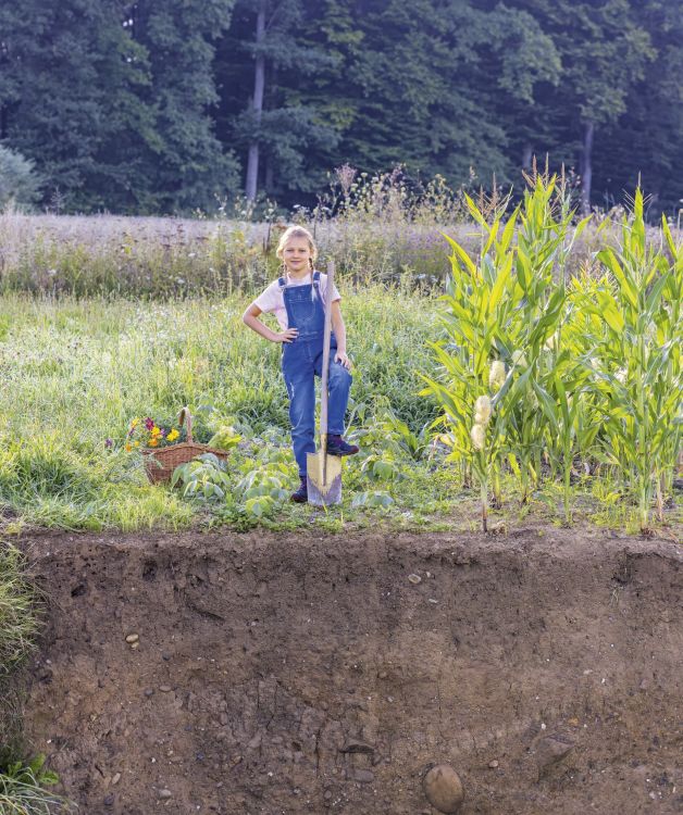 «Emma auf Hoftour»: Eine Bimmelbahn verbindet die Aktivitäten an der HAFL und dem Inforama Rütti, das Postauto fährt zu den Aussenbetrieben. (Bild: HAFL, zVg)