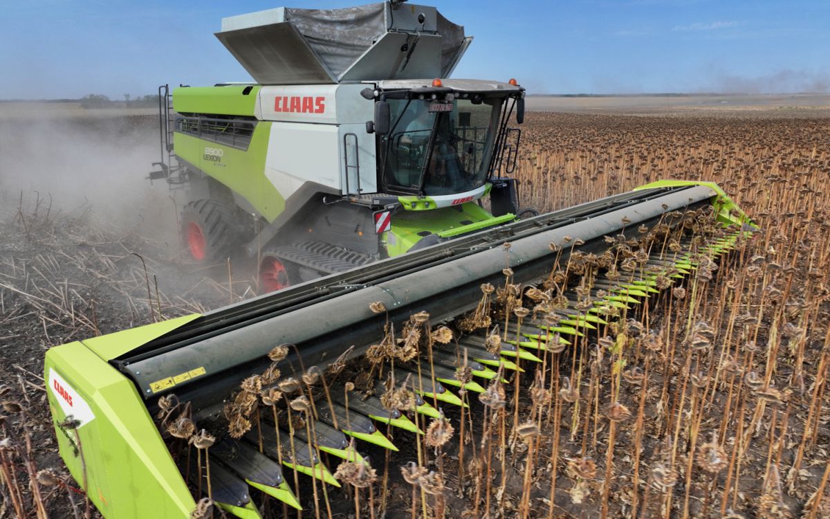 Variable Haspel mit verstärkten Messern und einstellbarer Haspelhaube bei den Sunspeed Sonnenblumenpflückvorsätze von Claas.