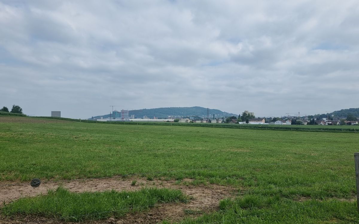 Grüne Wiese im Vordergrund, Agglomeration von Zürich im Hintergrund
